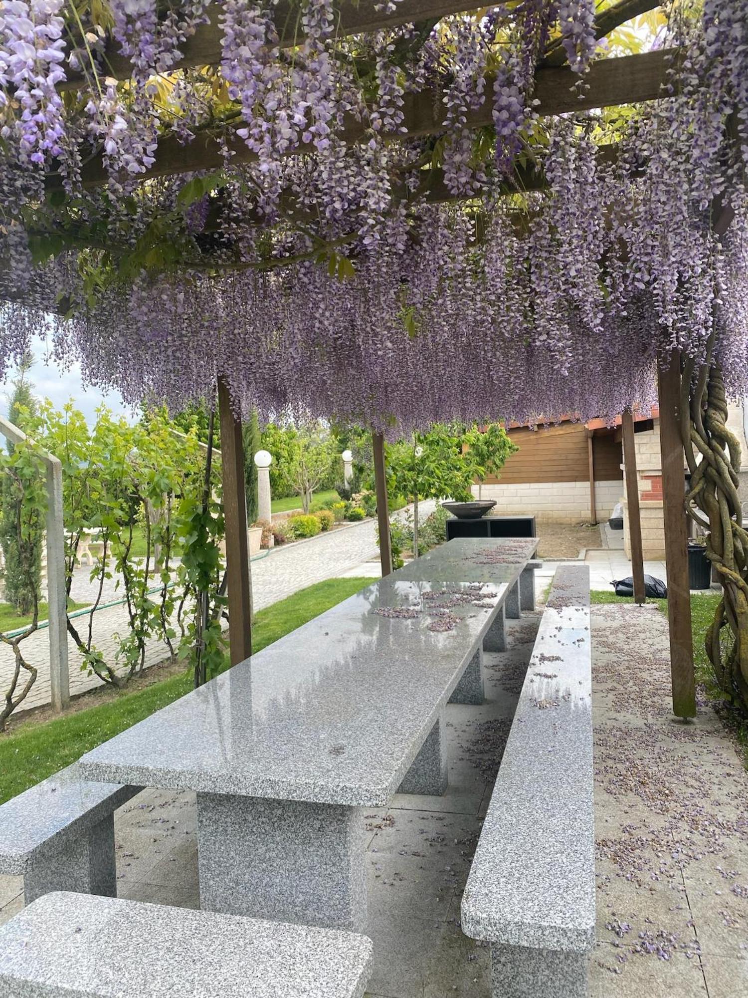 Gites Des Sablons Châtillon-sur-Marne المظهر الخارجي الصورة